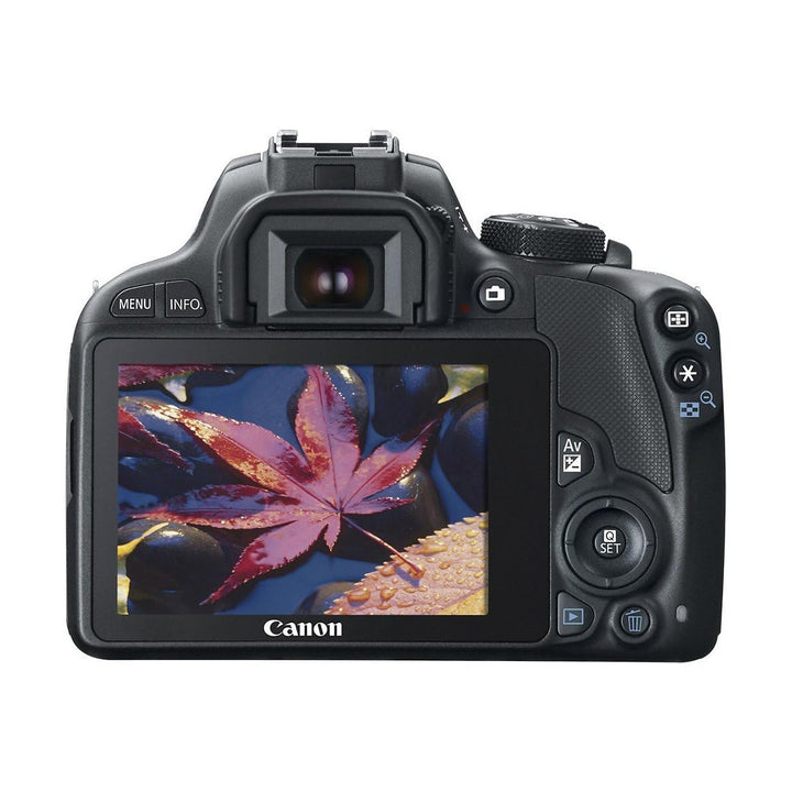 Black Canon EOS Rebel SL1 rear view showing articulated LCD screen displaying maple leaf photo at ClubCamera.com