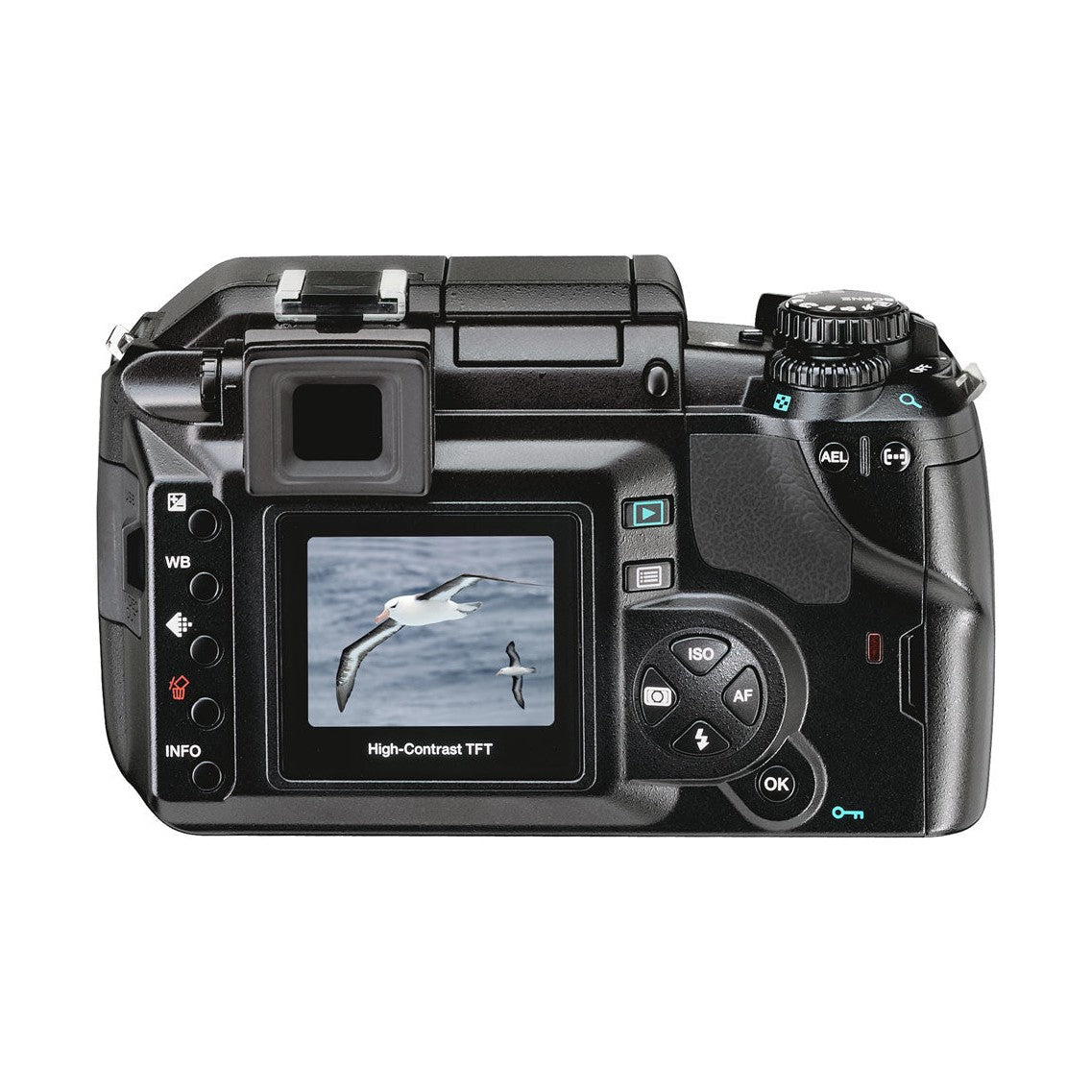 Black Olympus E-300 rear view showing High-Contrast TFT LCD and control buttons from ClubCamera.com